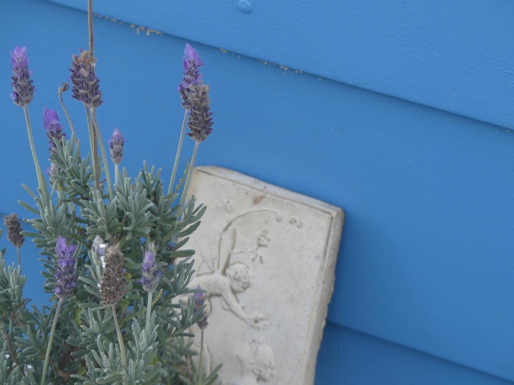 Ki Dragonfly Guesthouse Kingscote Eksteriør bilde
